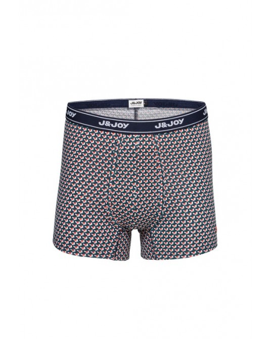 BOXER 3003839