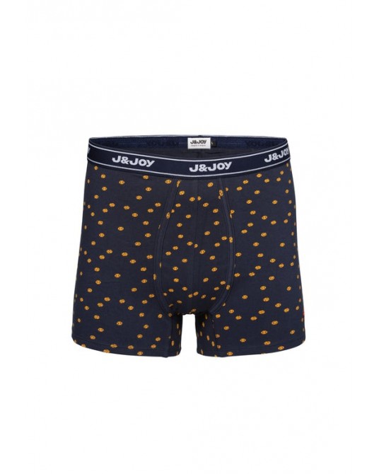 BOXER 3003839