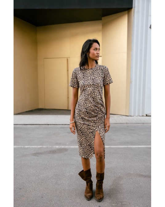ROBE 3006552