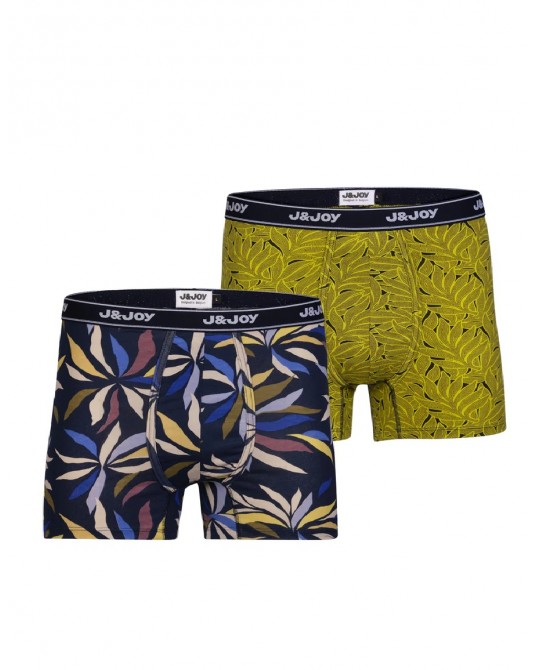 BOXER 3006056