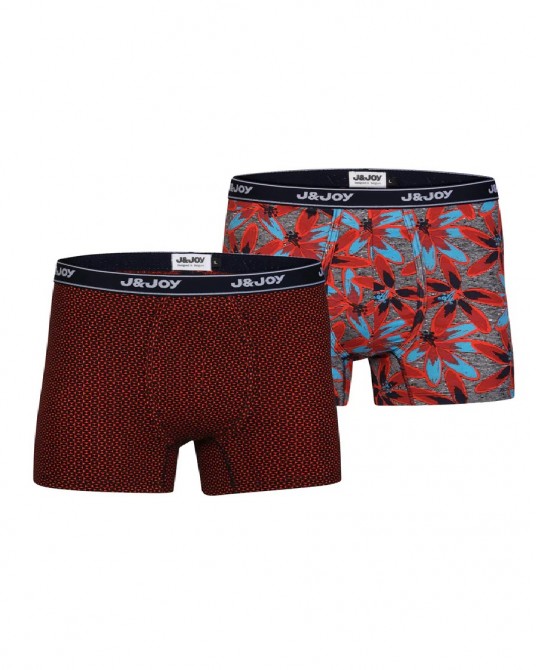 BOXER 3006058